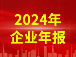 2024年企業(yè)年報(bào)