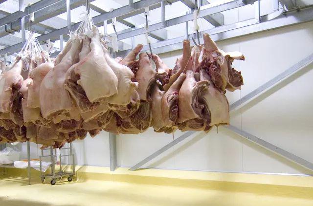 公司動(dòng)態(tài)測(cè)試(圖1)